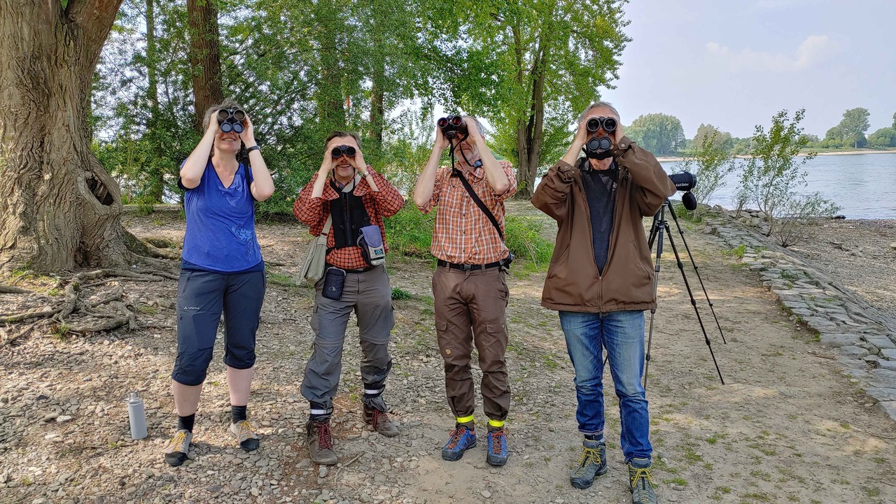 Birdrace Unterst Tzung Der Aktion F R Biologische Vielfalt